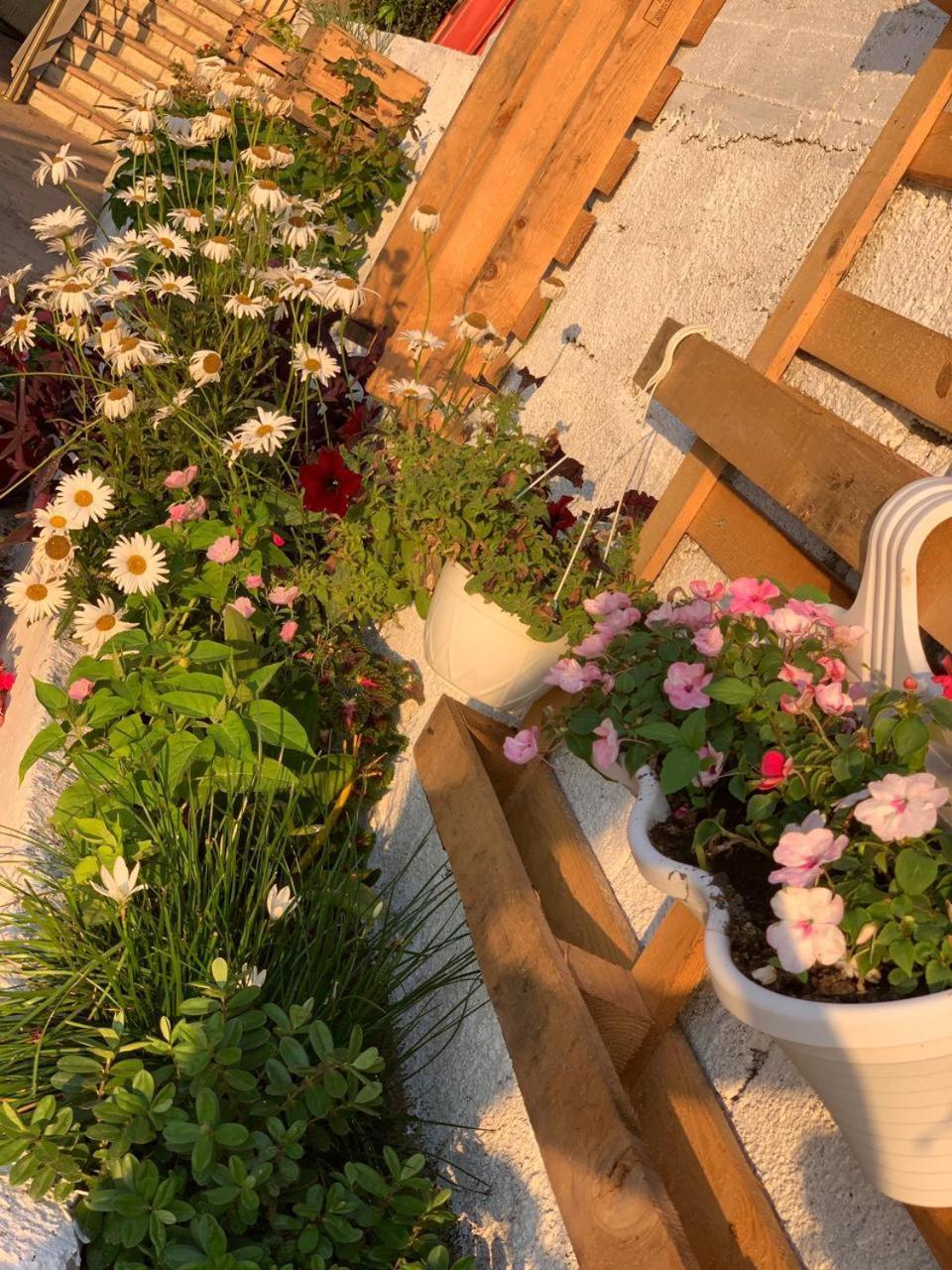 Kenza Apartments Sarande Ruang foto
